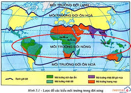 môi trường xích đạo ẩm