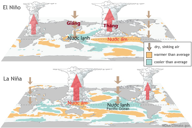 Tác động của El Nino và La Nina đến thời tiết Việt Nam