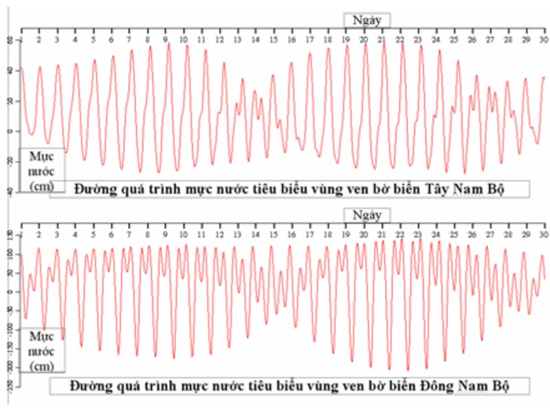 Thủy Triều là gì