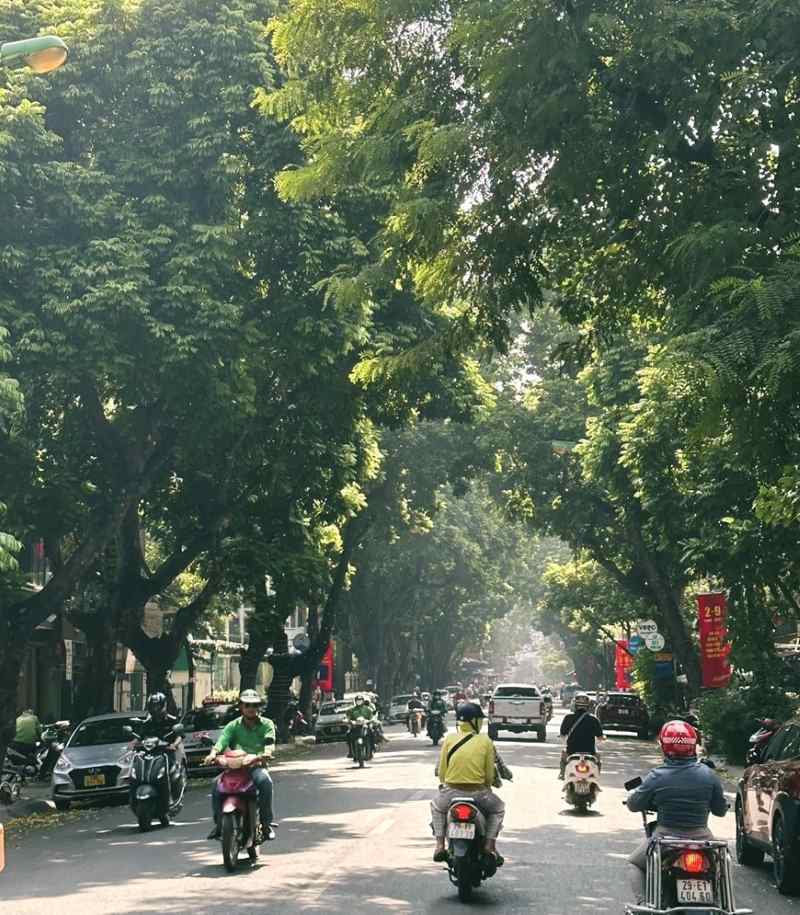 Dự báo thời tiết 29/08/2024