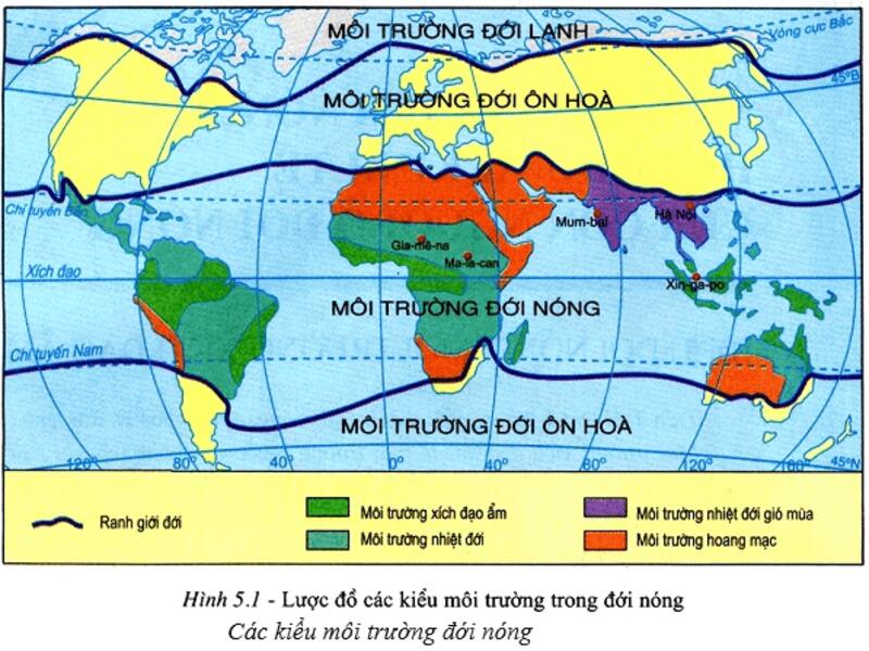 Các kiểu môi trường đới nóng