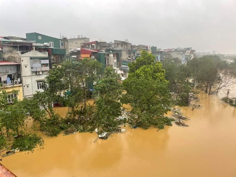 Dự báo thời tiết chi tiết ngày 12/09/2024